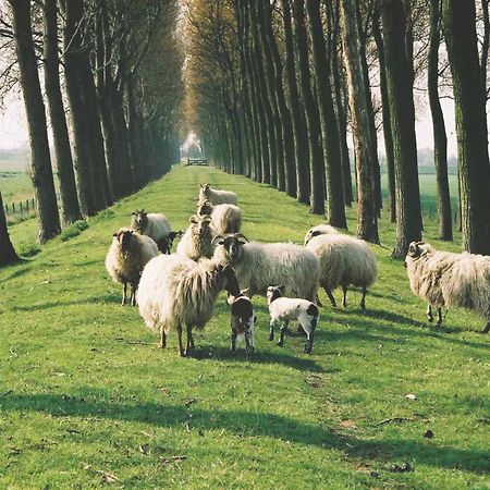 B&B Landgoed Rijckholt Geersdijk Экстерьер фото